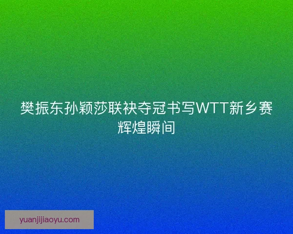 樊振东孙颖莎联袂夺冠书写WTT新乡赛辉煌瞬间