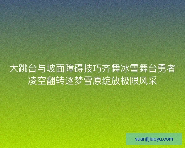 大跳台与坡面障碍技巧齐舞冰雪舞台勇者凌空翻转逐梦雪原绽放极限风采