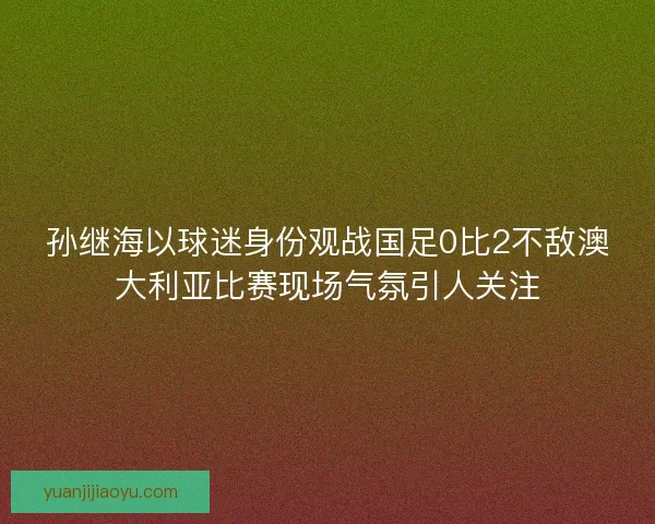 孙继海以球迷身份观战国足0比2不敌澳大利亚比赛现场气氛引人关注
